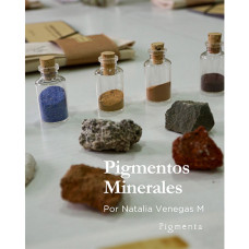 Pigmentos Minerales: Tierras y Rocas / Modalidad Pase Diario