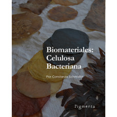 Biomateriales: Celulosa Bacteriana. Docente Constanza Schmidlin / Modalidad Pase Diario